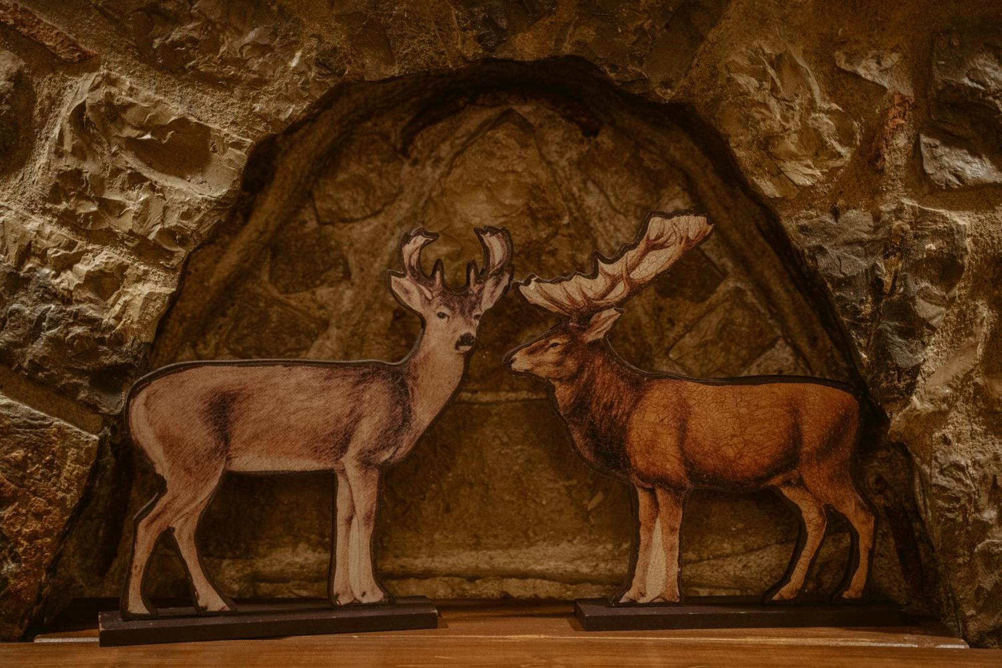Afanos Guesthouse Arachova Værelse billede